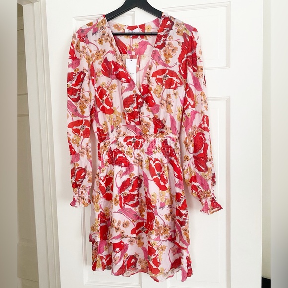 NWT Parker Pink & Red Printed Floral Mini Dress - Picture 3 of 8
